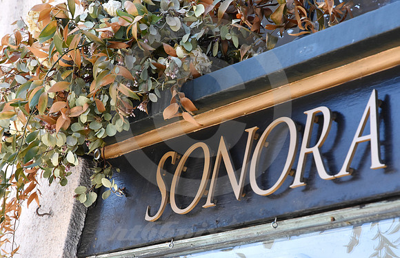 CALIFORNIA STYLE #19 (Sonora CA)