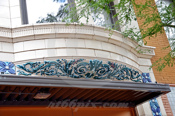 TERRA COTTA & TREE (Moline IL)