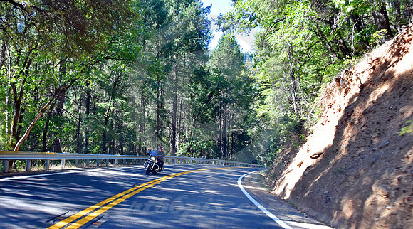 CALIFORNIA LIFE #184 (nr Nevada City CA)