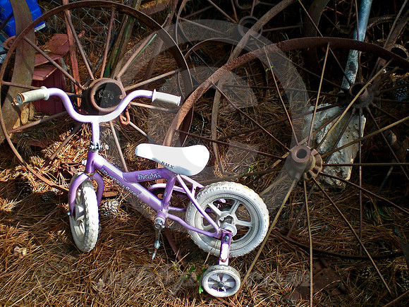 PURPLE BIKE & IRON WHEELS (Lufkin TX)