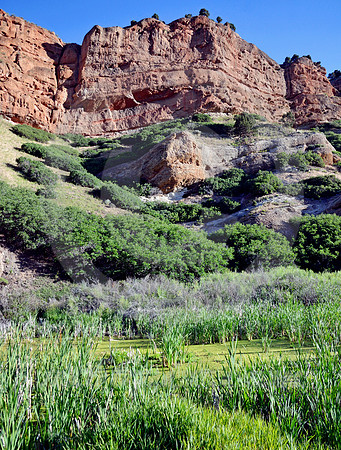 MOUNTAIN & WETLAND (Lincoln Highway Echo Canyon UT)