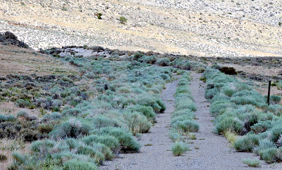 EARLY ROADBED (Lincoln Highway nr Wendover NV)