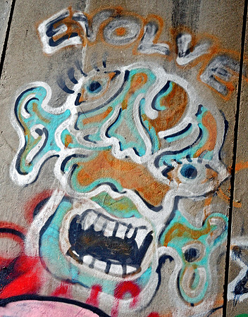 GRAFFITI #1 (Donner Pass CA)