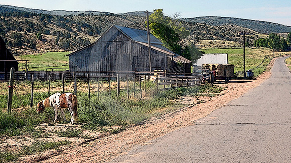 TETHERED PONY (Lincoln Highway nr Wanship UT)