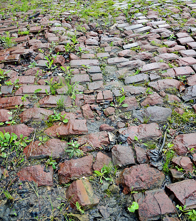 WET BRICK-DETAIL (National Road Blaine OH)