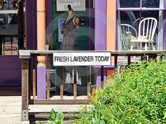 PLACERVILLE #4 (Lincoln Highway Placerville CA)