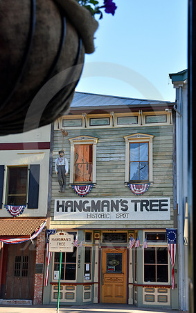 HANGING TREE AND HANGING BASKET (Lincoln Highway Placerville CA)