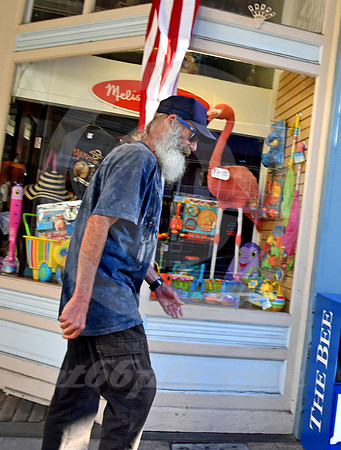 THE MAN, THE FLAMINGO & THE BEE (Lincoln Highway Placerville CA)
