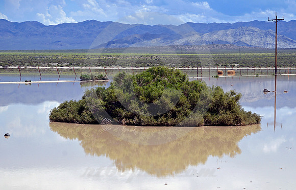 NEVADA ISLAND (Lincoln Highway NV)