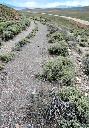 OLD ROAD #4 (Lincoln Highway nr Schellbourne NV)