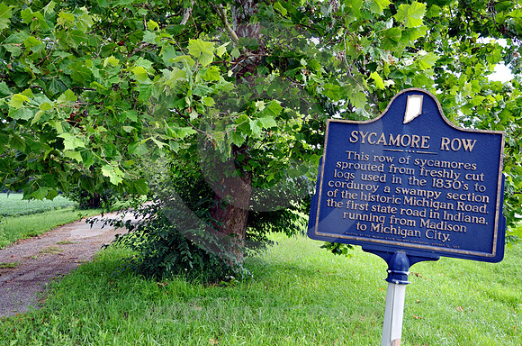 SYCAMORE ROW (nr Deer Creek IN)