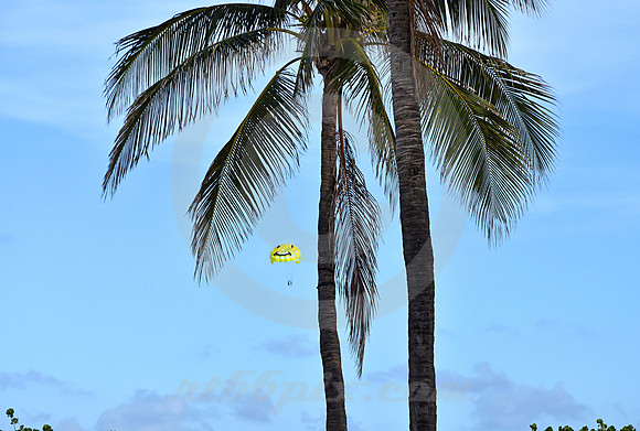 MIAMI BEACH #746 (Miami Beach FL)