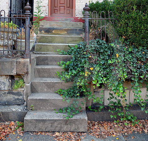 FRONT STEPS (National Road Wheeling WV)
