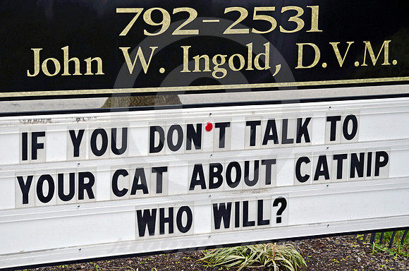 CATNIP (Lincoln Highway York PA)