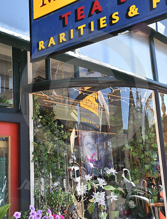 CALIFORNIA STYLE #313 (Nevada City CA)