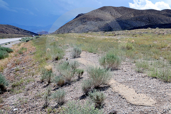 LONELIEST ROAD #11 (Lincoln Highway NV)