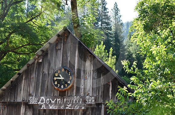 CALIFORNIA STYLE #322 (Downieville CA)