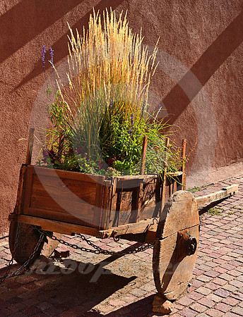 STYLE #48 (Taos NM)