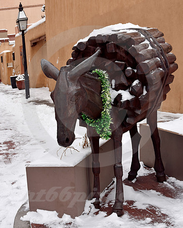 BURRO #2 (Rt 66 Santa Fe NM)