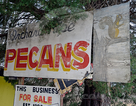 PECANS (nr Buffalo TX)