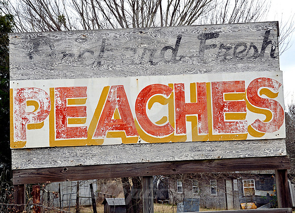 PEACHES (nr Buffalo TX)