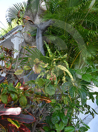 KEY WEST #53 (Key West FL)