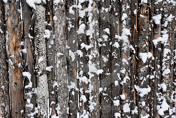 WINTER #135 (Rt 66 Santa Fe NM)