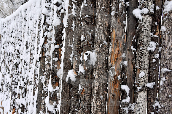 WINTER #154 (Rt 66 Santa Fe NM)