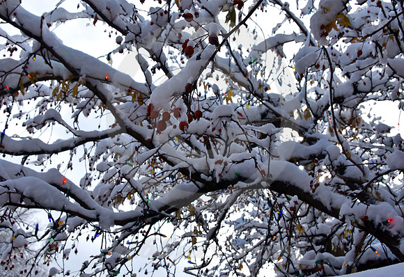 WINTER #175 (Rt 66 Santa Fe NM)