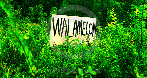 WALAMELON (nr Mineola TX)