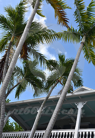 KEY WEST #52 (Key West FL)