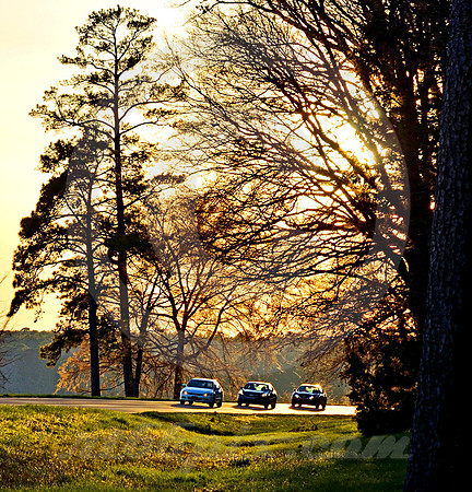 NORTHBOUND TRIO (Natchez Trace Ridgeland MS)