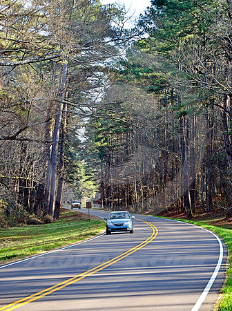 SOUTHBOUND DUO (Natchez Trace nr Canton MS)