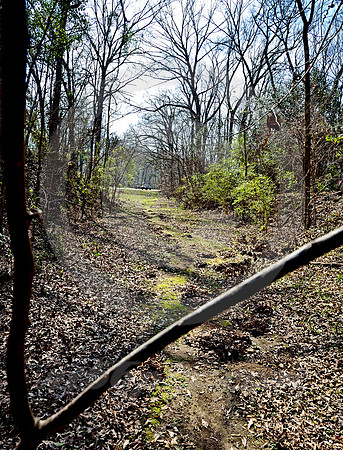OLD TRACE #2 (Natchez Trace nr Natchez MS)