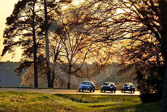 NORTHBOUND TRIO #2 (Natchez Trace Ridgeland MS)