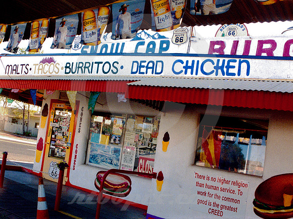 DEAD CHICKEN (Rt 66 Seligman AZ)