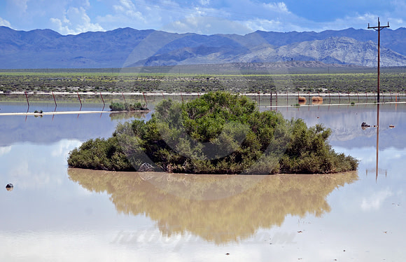 NEVADA ISLAND (Lincoln Highway NV)