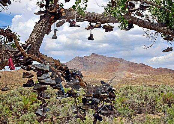 SHOE TREE #1 (Lincoln Highway nr Middlegate Station NV)