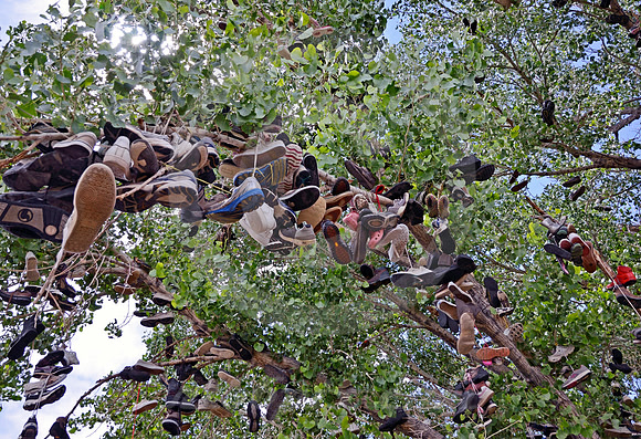 SHOE TREE #2 (Lincoln Highway nr Middlegate Station NV)