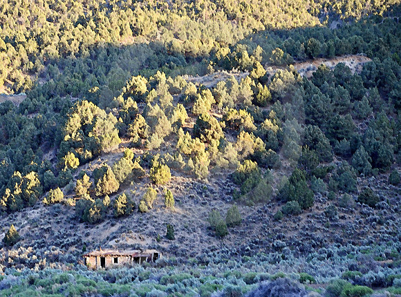 NOBODY HOME (Lincoln Highway nr Ely NV)