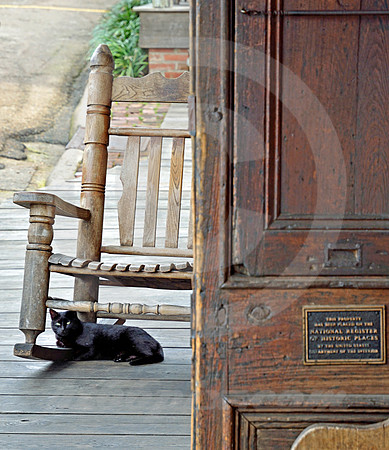 BLACK CAT (Natchez Trace Natchez MS)