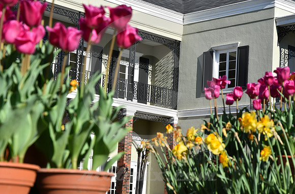 NATCHITOCHES #15 (Natchitoches LA)