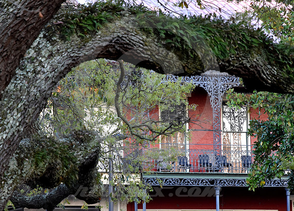 NATCHITOCHES #20 (Natchitoches LA)