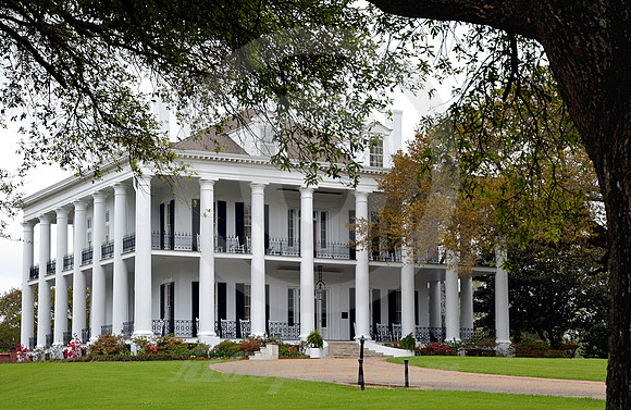 DUNLEITH #3 (Natchez Trace Natchez MS)