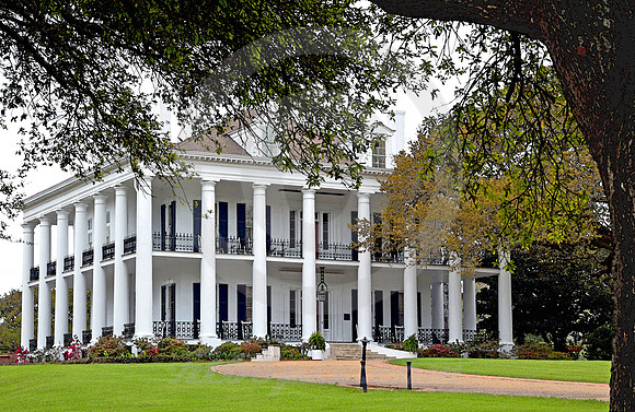 DUNLEITH #4 (Natchez Trace Natchez MS)