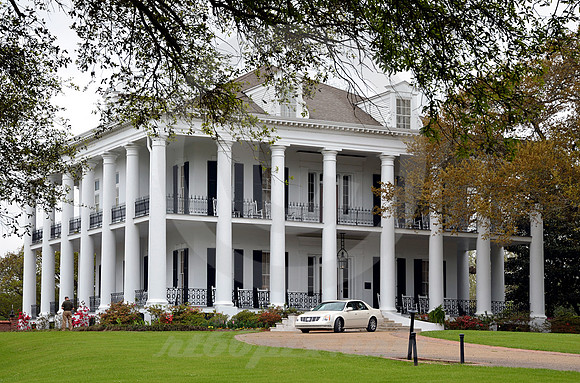 DUNLEITH #6 (Natchez Trace Natchez MS)