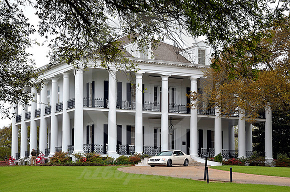 DUNLEITH #7 (Natchez Trace Natchez MS)