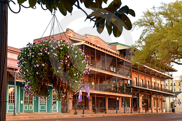 NATCHITOCHES #36 (Natchitoches LA)
