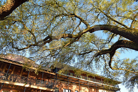 NATCHITOCHES #47 (Natchitoches LA)