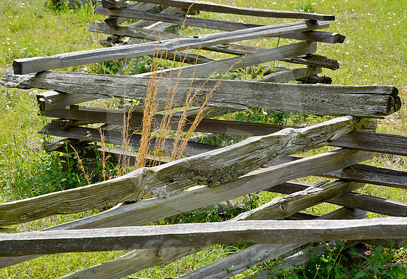 FENCE & NATIVE GRASS (Natchez Trace nr Natchez MS)